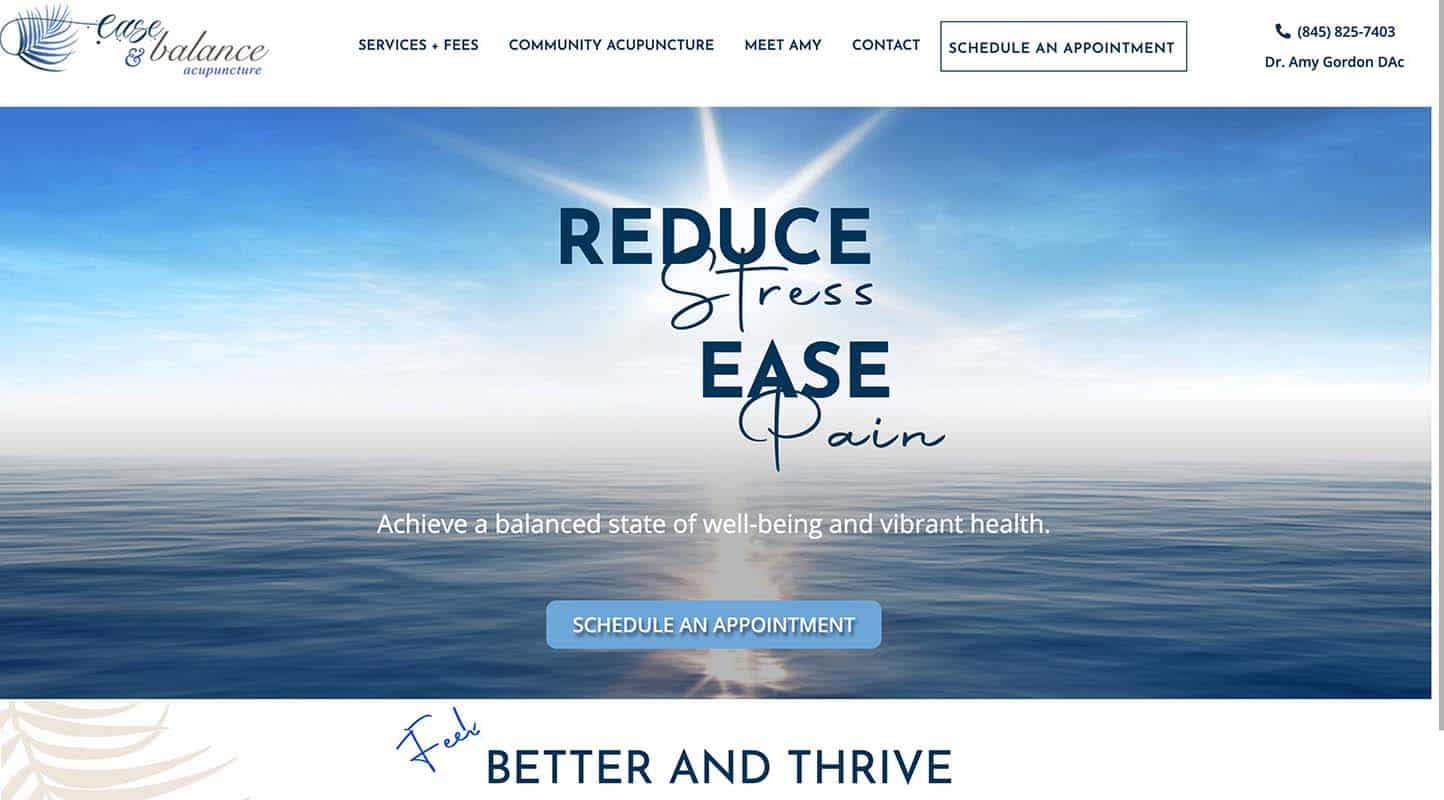 Screenshot of Ease and Balance Acupuncture Home Page